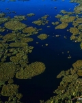 Украина, Екотури - Плаваючі острови Супія в Яготині 2 дні